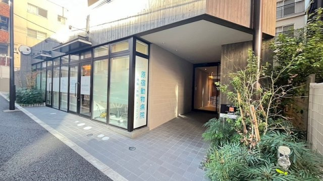 ジオエント原宿のエントランス