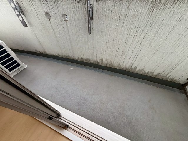 セレニテ甲子園Ⅰのバルコニー|同物件別部屋写真