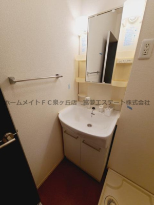 【洗面所】 | WISTERIA PLACE（ウィステリアプレイス） | ※イメージ　同物件別号室の写真