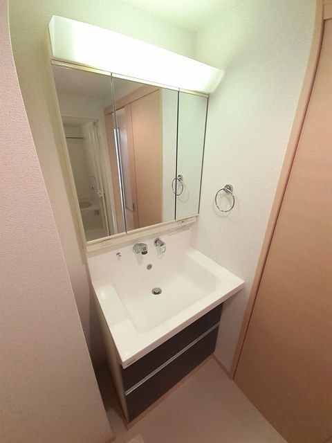 プルミエール秋葉原の洗面所