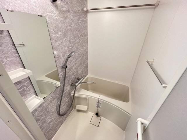 S-RESIDENCE堺筋本町Deuxの浴室