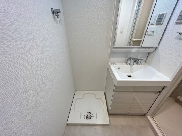S-RESIDENCE難波大国町Deuxの洗面所
