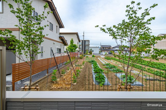 ファルコンベース若宮の展望