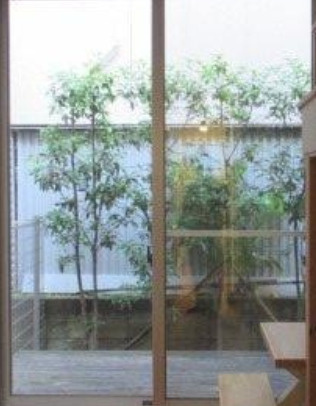 セレッソ王子の展望