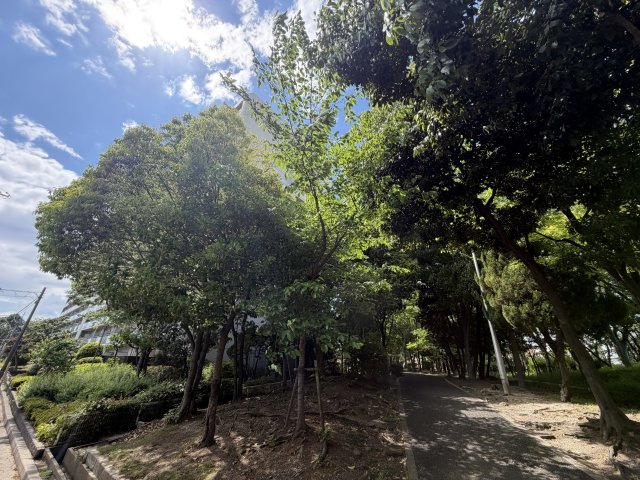 尼崎市東難波町４丁目戸建の周辺