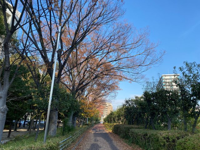 尼崎市東難波町４丁目戸建の周辺