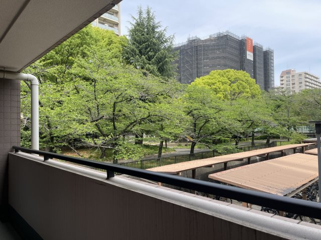 T’s garden東陽町の展望|バルコニーから桜が見れる為春はお部屋でお花見もできます。