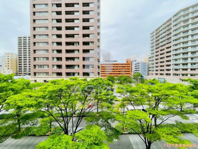 【展望】 | ロイヤルパークス桃坂