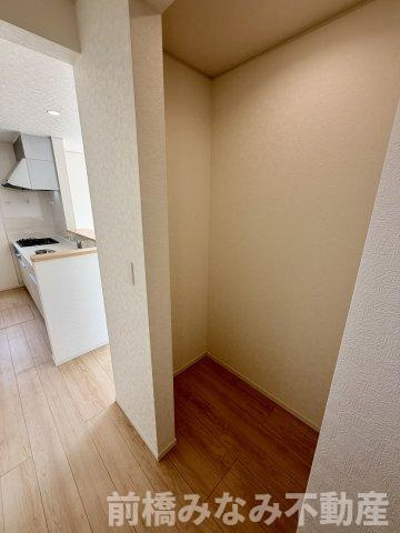 【新築】前橋市青柳町第28　４号棟(全10棟)　クレイドルガーデン　新築建売分譲の収納|こまごまとしたものを収納できそうですね