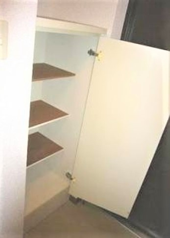 日神パレス八王子の玄関