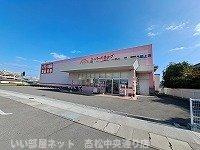 【周辺】 | グランシャリオ | ひまわり多肥店さんまで1100m