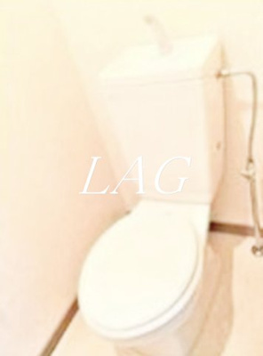 【トイレ】 | そうびハイム | トイレです。