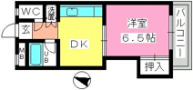 斉藤ハイムの画像
