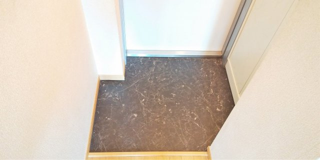 レオパレス大弥の玄関