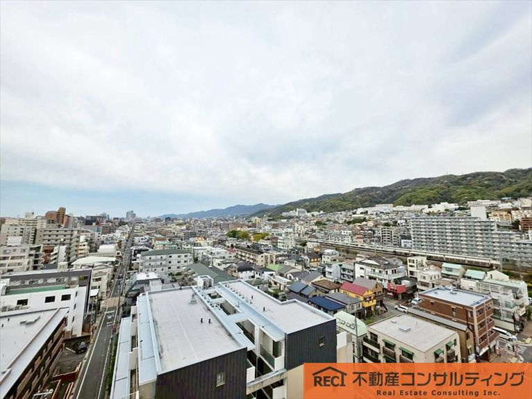 セルバの展望