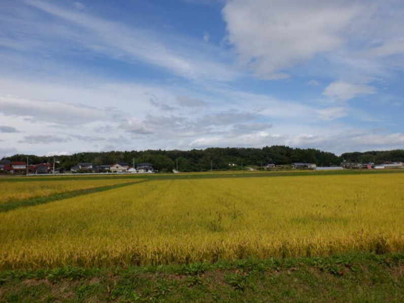 相馬市赤木字新堤　売地の前面道路含む現地写真