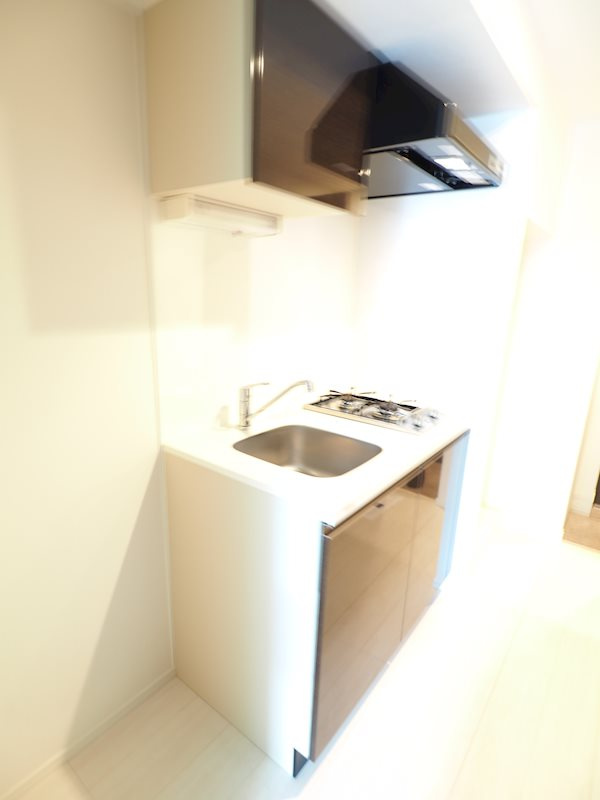 RESIDIA新御徒町Ⅱのキッチン|レジディア新御徒町Ⅱのキッチンです