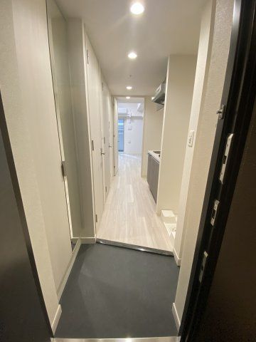プレサンス大国町アドロッソの玄関