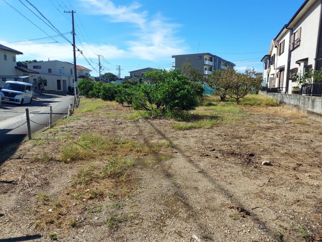 芳養松原売り地(畑）の前面道路含む現地写真|前面道路含む現地写真です