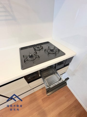 ハウスユマニテ大橋α館のキッチン