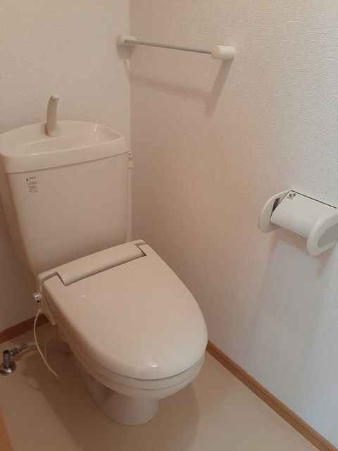 ラシ－ヌⅡのトイレ