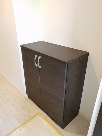 トリノスの収納|※同タイプの部屋写真です