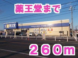 ファインエアリーＧの周辺|薬王堂まで260m