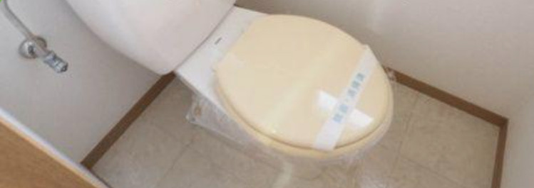 フォルトゥーナ駒込のトイレ