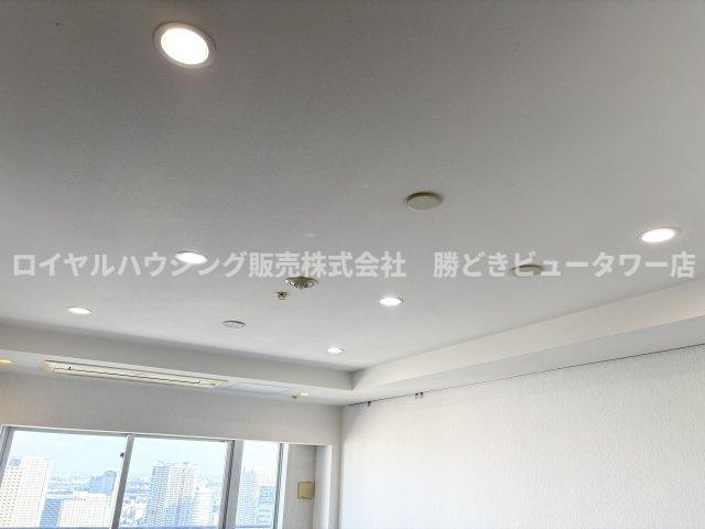 ダウンライト有