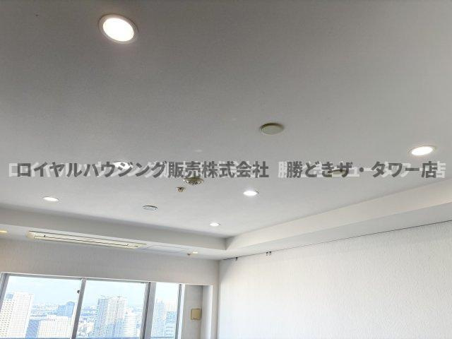 ダウンライト有
