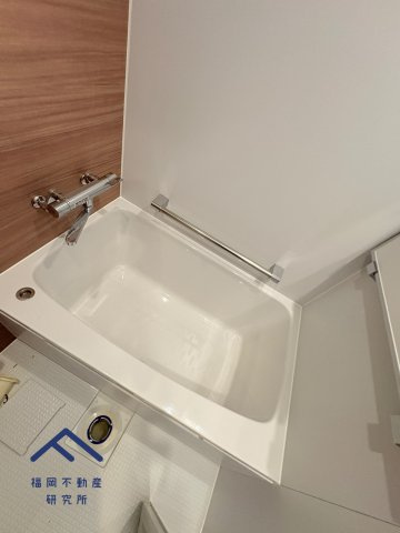 ラフィネスシャトードゥ赤坂の浴室