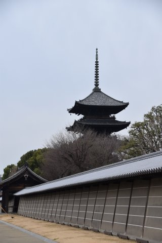 東寺東側 庭にひらく、黒の京町家の周辺|東寺まで徒歩3分