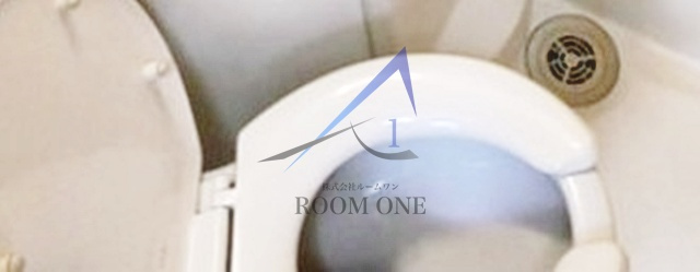 ＲｅＤＥＡＬ成増のトイレ|トイレです。