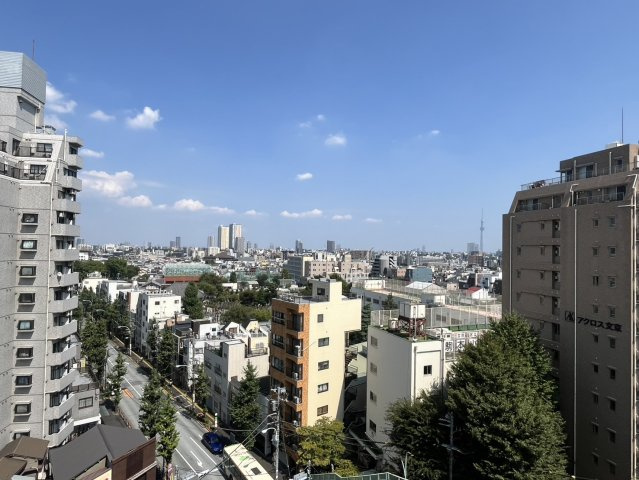 【展望】