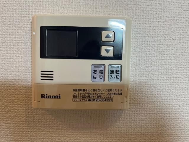 フェニックスのその他