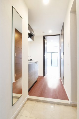 ラフィスタ新小岩 の玄関