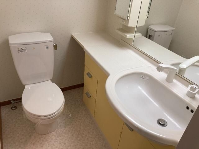 メゾンドエクレールの洗面所