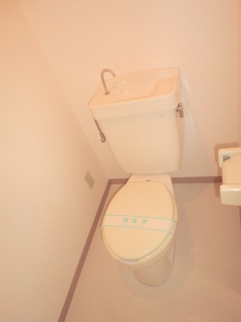 ルミエール妙蓮寺のトイレ|302号室の写真です