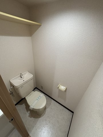 ルミエール妙蓮寺の居間・リビング|302号室の写真です