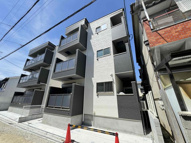 D porta gracefulの画像