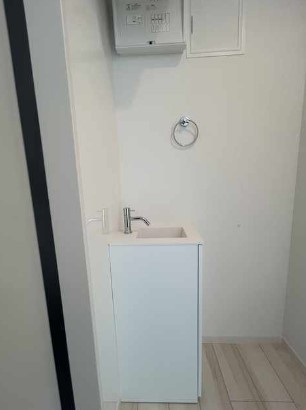 アムール板橋中台の洗面所