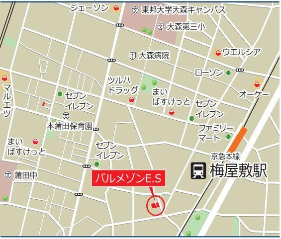 パルメゾンESのその他