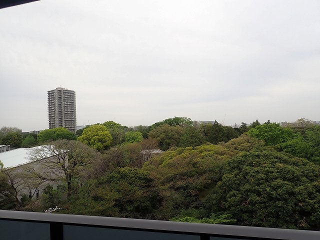 Weave Base-Asukayama Parkの展望