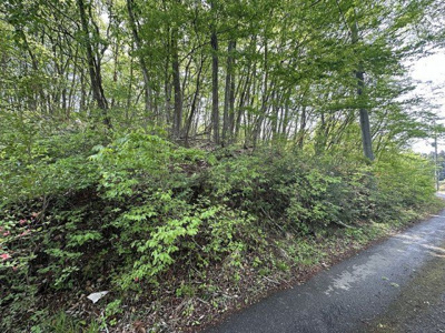 【外観】 | 大田原市堀之内　770万円　土地