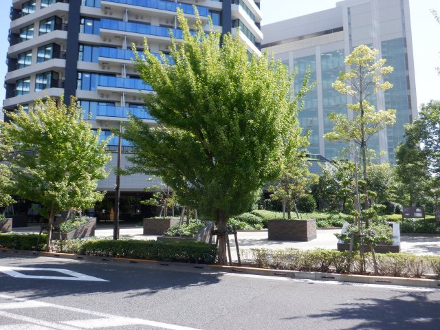 ベイサイドタワー晴海の周辺