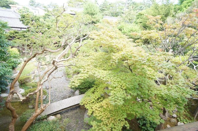 CASA南浜の展望|北方文化博物館の庭園が眺められます。

