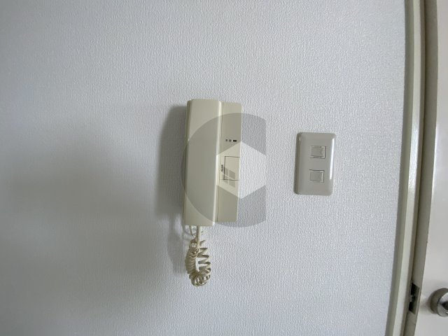 デルニエアンのセキュリティ