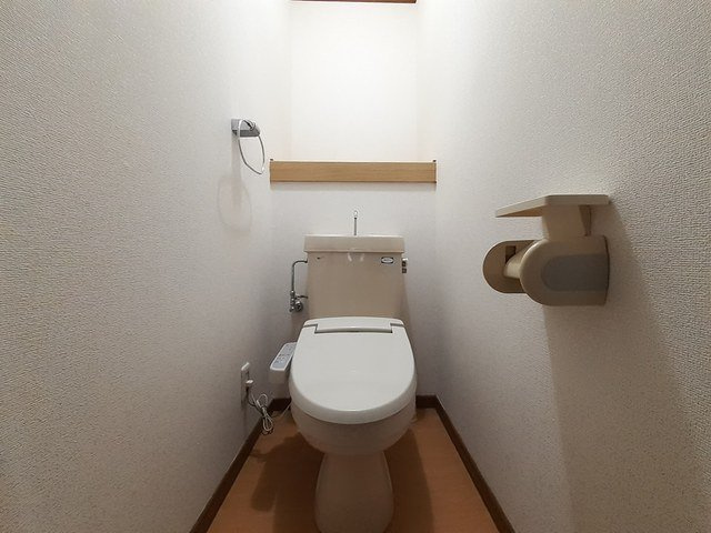 メゾンアルファＤのトイレ|トイレです