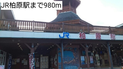 【周辺】 | フローラリア・ドムス | JR柏原駅まで980m