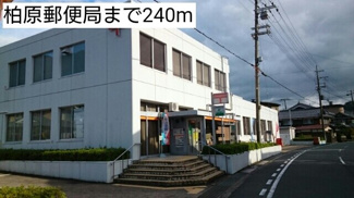 【周辺】 | フローラリア・ドムス | 柏原郵便局まで240m